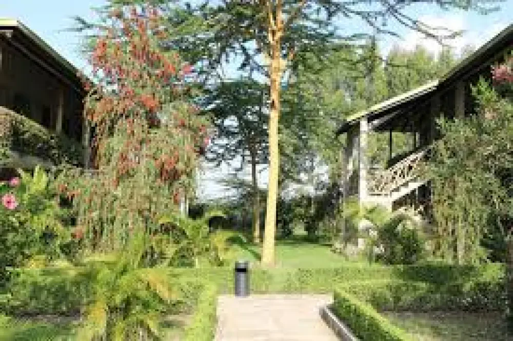 MAANZONI LODGE LIMITED — photo 2