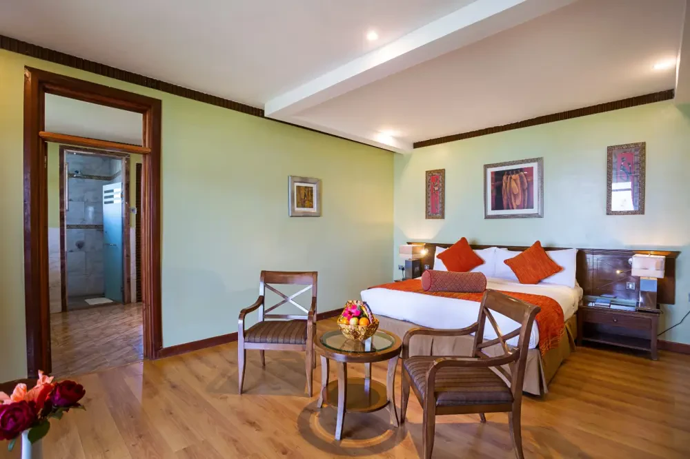 Room Image 1