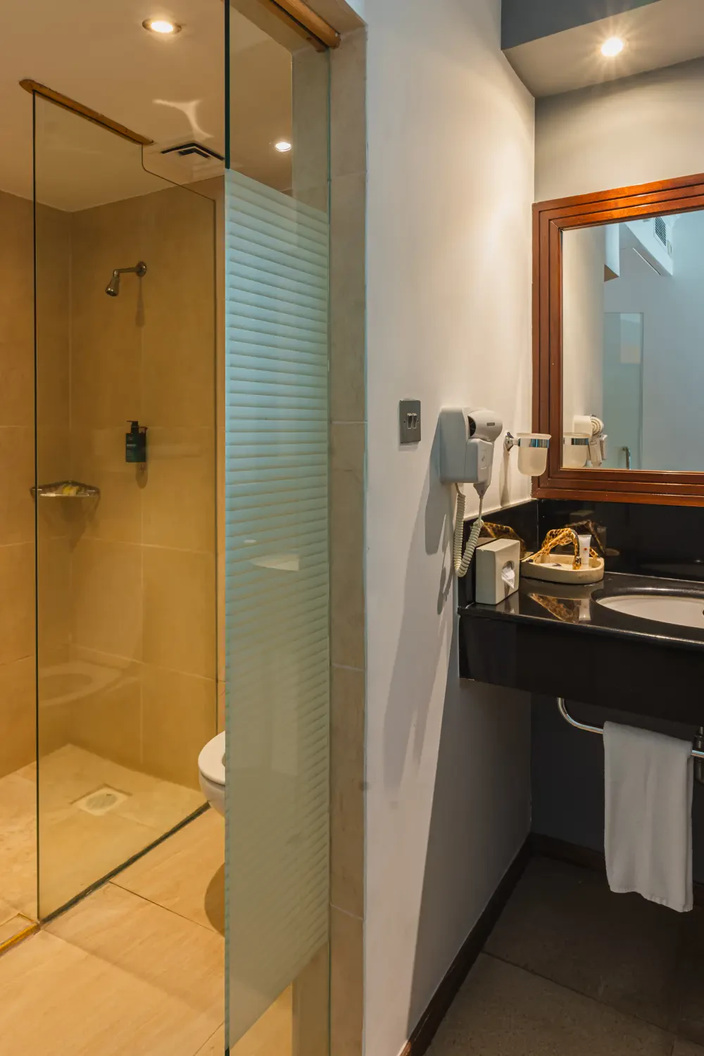 Room Image 2