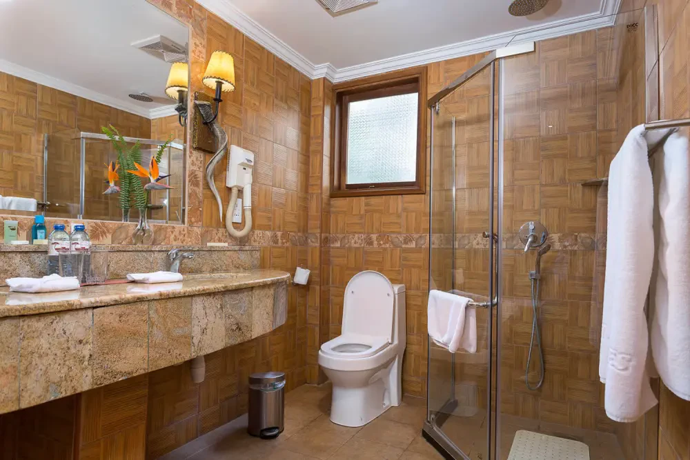 Superior Double Room — photo 2