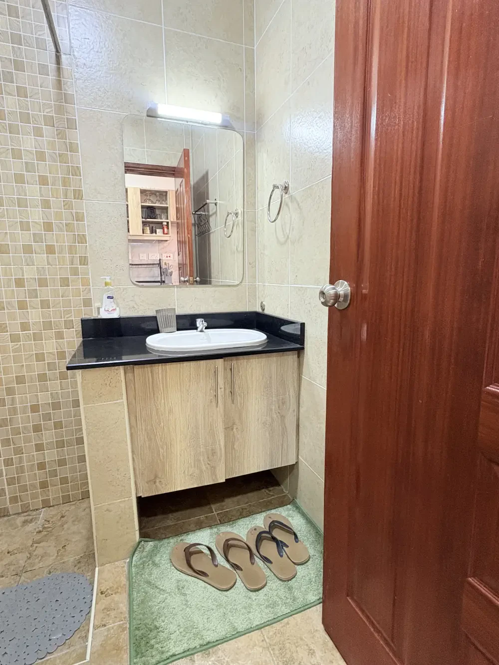 STUDIO SOUTH SUITES APARTMENTS — photo 7