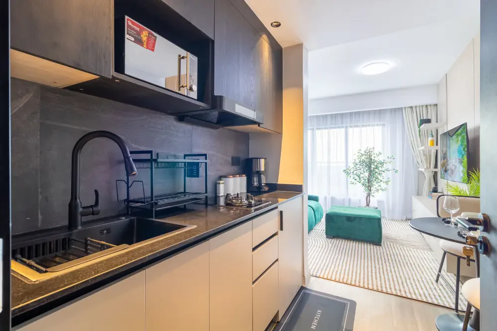 Executive Studio at Altura Apts 2507 — photo 21