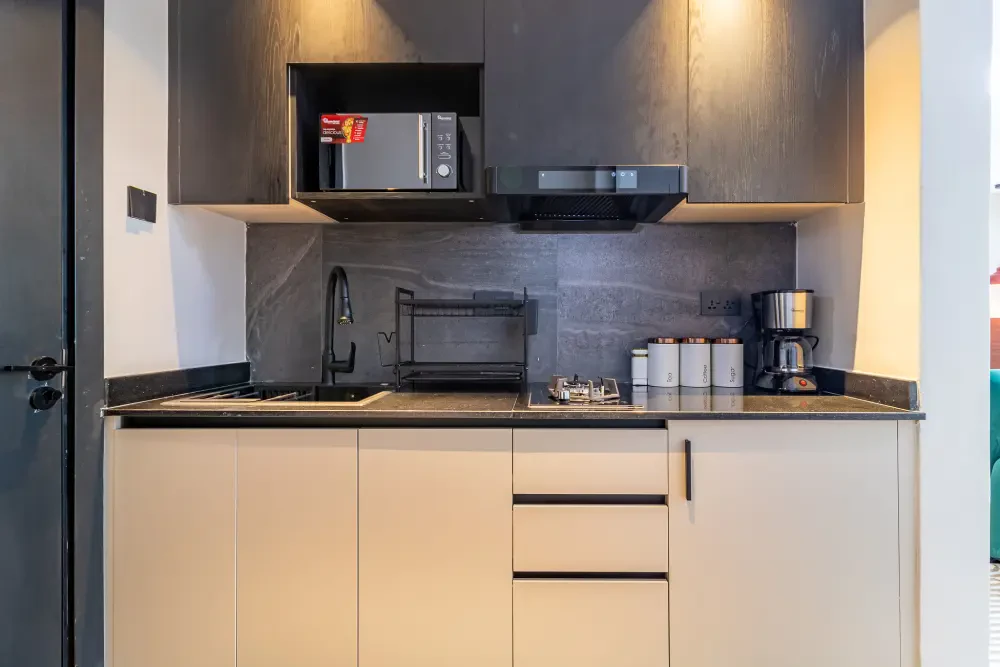 Executive Studio at Altura Apts 2507 — photo 28