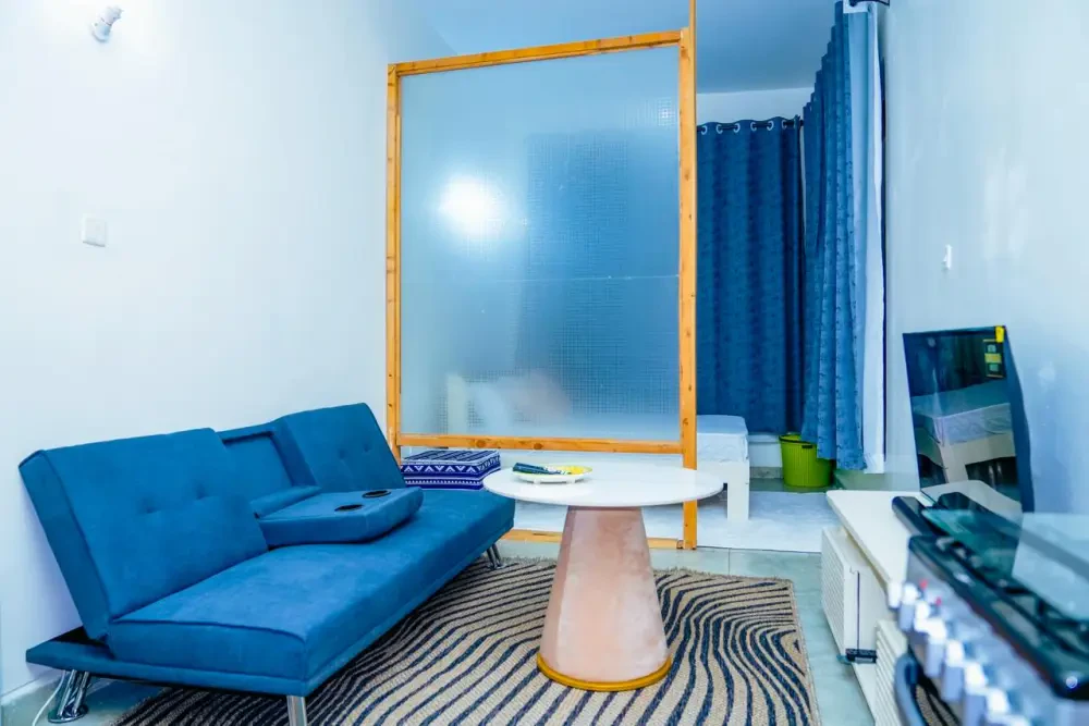 Parttitioned Studio near JKIA/SGR - main photo