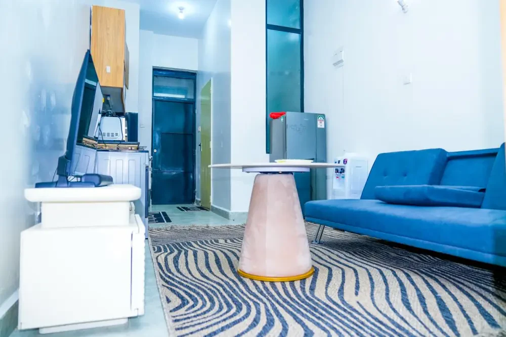 Parttitioned Studio near JKIA/SGR - photo 2