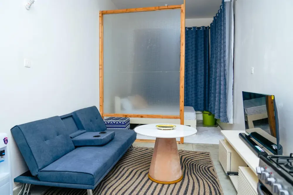 Parttitioned Studio near JKIA/SGR - photo 3